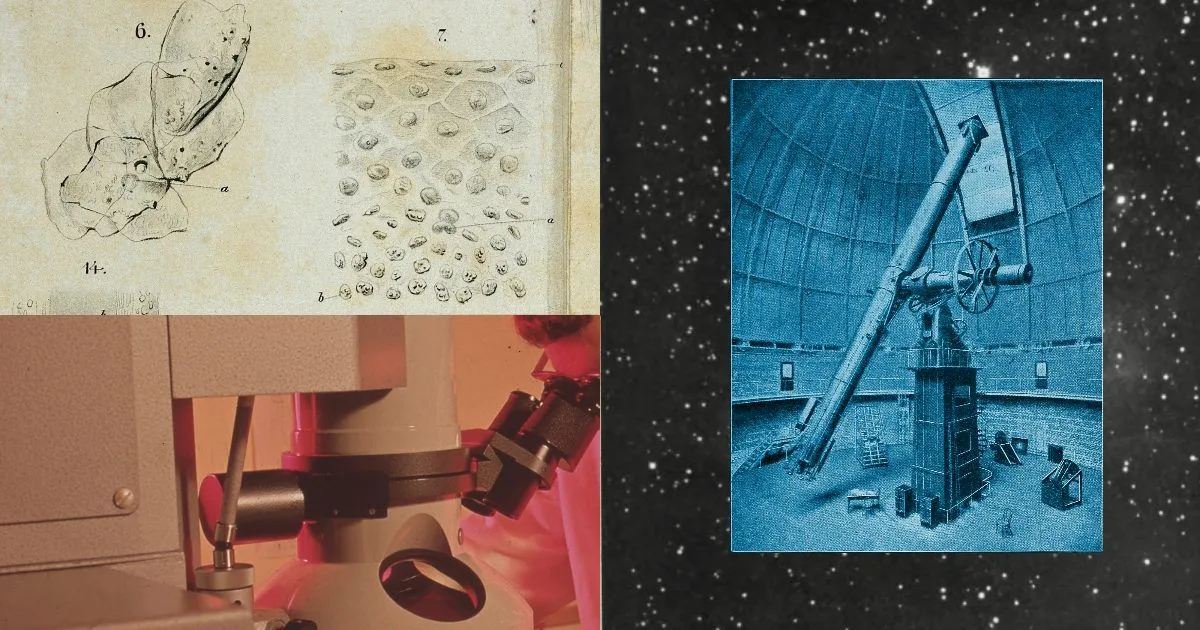 Anthropic расширила научную программу на 20 фондов и институтов